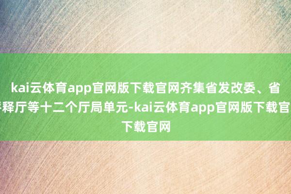 kai云体育app官网版下载官网齐集省发改委、省评释厅等十二个厅局单元-kai云体育app官网版下载官网