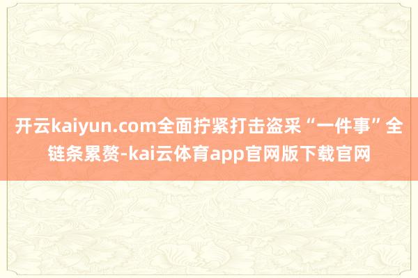 开云kaiyun.com全面拧紧打击盗采“一件事”全链条累赘-kai云体育app官网版下载官网